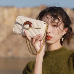 French Niche Luxury New Embroidered Chain Bag - High-End Mini Women's Crossbody Bag